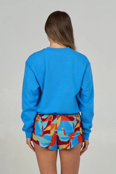 Back view of a person wearing a blue sweatshirt and colorful shorts on a plain background