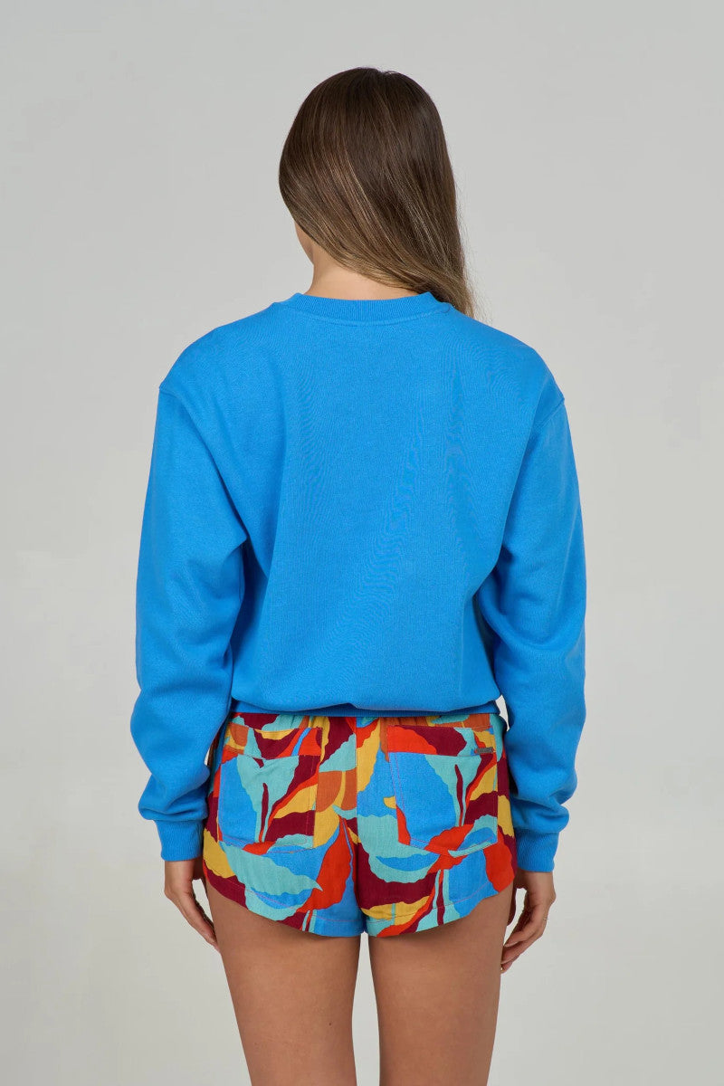 Back view of a person wearing a blue sweatshirt and colorful shorts on a plain background