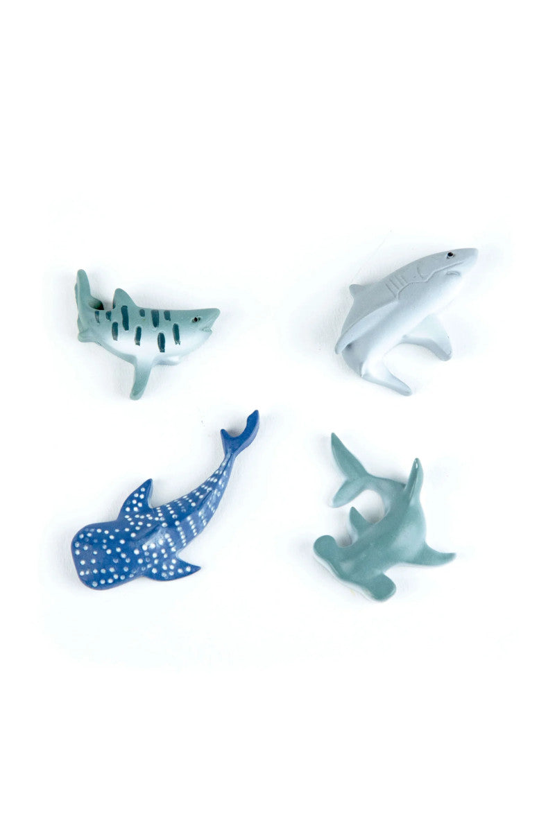 Shark 4PK Magnets