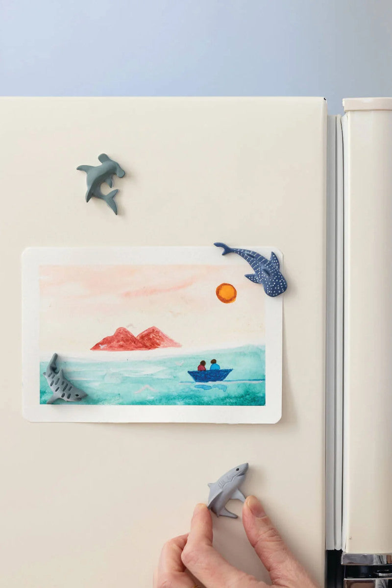 Shark 4PK Magnets