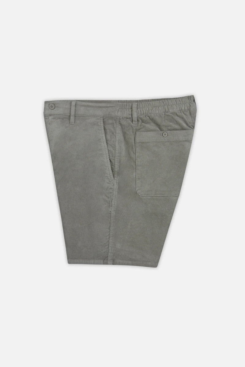 Gray shorts on a white background