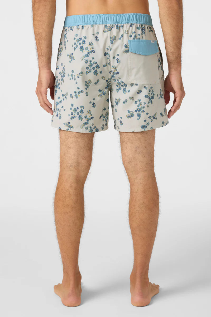 OG Volley Boardies