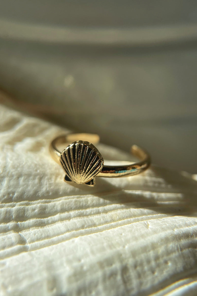 Sea Shellin Toe Ring
